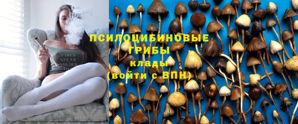 каннабис Аркадак