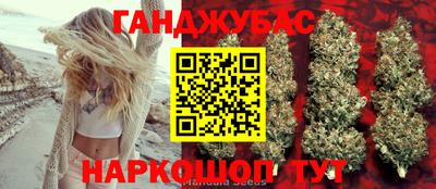 прущие грибы Апшеронск