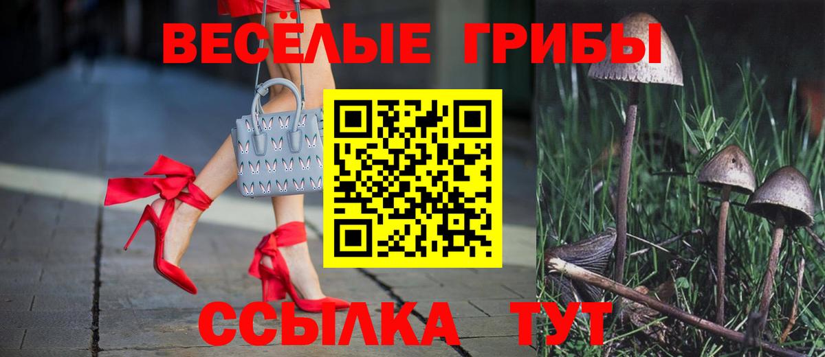 Псилоцибиновые грибы мухоморы  Галлюциногенные грибы мухоморы  Белово  Вход с VPN 