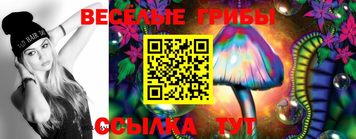 Псилоцибиновые грибы GOLDEN TEACHER Белово