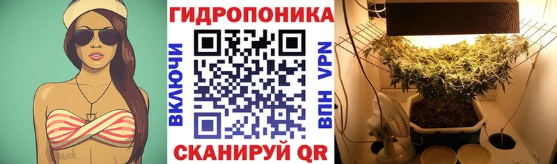Конопля THC 21% Белово