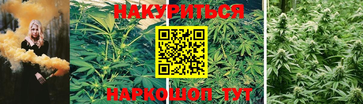 Канабис Amnesia Белово